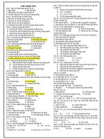 BT về các loại tia