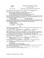 LTDH đẳng cấp đề 008