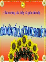 tiet 61: da dang sinh hoc