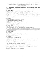 nguyên nhân và ý nghĩa