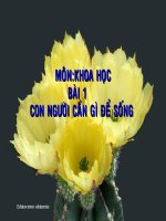 Con người cần gì để sống ?