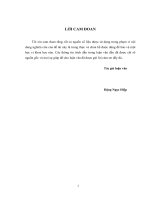 Các nhân tố ảnh hưởng đến năng lực cạnh tranh  trong phát triển du lịch ở thành phố huế 