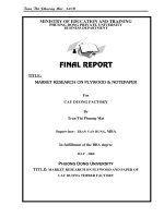 market research on plywood and paper of cau duong timber factory