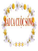 BÀI CA CUỘC SỐNG