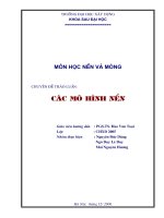 Các mô hình nền móng