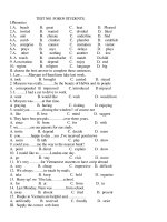 DE THI THU VAO 10(HOT-HOT)