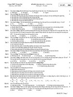 Đề kiểm tra vật lý 10_học kỳ 2