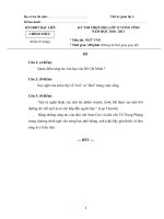 ĐỀ THI CHỌN HỌC SINH GIỎI VÒNG TỈNH LỚP 12 NĂM HỌC 2010-2011 MÔN NGỮ VĂN