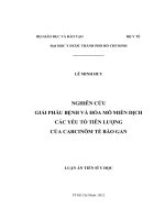 Nghiên cứu giải phẫu bệnh