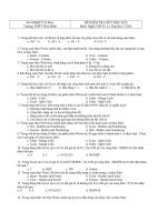 Đề kiểm tra học kì II nghề THVP (Hot)