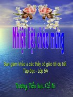 Tập đọc: Hạt gạo làng ta