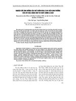 NGHIÊN CứU ảNH HƯởNG CủA CHế PHẩM BóN Lá DH1 ĐếN SINH TRƯởNG CủA CÂY DÂU, NĂNG SUấT Và CHấT LƯợNG Lá DÂU