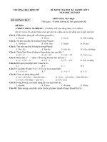 ĐỀ KIỂM TRA HỌC KỲ I KHỐI LỚP 8 TRƯỜNG THCS BÌNH MỸ NĂM HỌC 2012-2013 MÔN TIN HỌC 