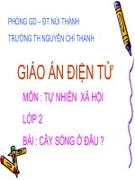 TNXH LỚP2.MỘT SỐ LOÀI CĂY SỐNG TRÊN CẠN