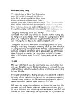 Những câu chuyện... nhật ký Đặng Thùy Trâm