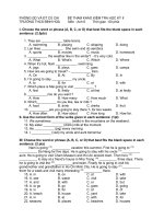 DE THAM KHAO ANH 6 HKII- 2009