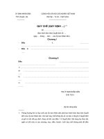 Quy che quy dinh cua UBND