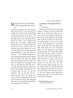 Nhượng quyền thương mại ở Việt Nam- những vẫn đề lý luận và thực tiễn