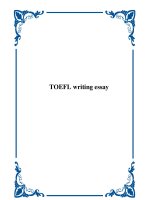 TOEFL writing essay 