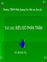 Biểu đồ phần trăm