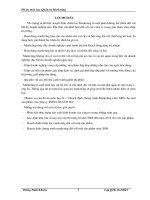 ” Hoạch định chương trình Marketing năm 2008 cho một sản phẩm của công ty TNHH THANH HÀ”.