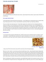 Chữa đau dạ dày theo cổ truyền.doc