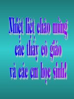 Ông lão đánh cá và con cá vàng