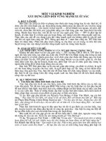 SKKN công tác Đội