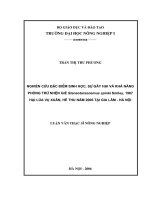 nghiên cứu đặc điểm sinh học, sự gây hại và khả năng phòng trừ nhện gié steneotarsonemus spinki smiley, 1967, hại lúa vụ x 