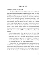 Phân tích hiệu quả sử dụng vốn tại công ty cao su việt trung tỉnh quảng bình 