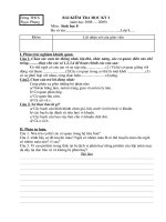 kiem tra sinh 8 co ma tran