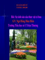 KHOA5 su sinh san cua thuc vat co hoa