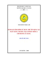 Đánh giá tình hình sử dụng thẻ tín dụng tại NGÂN  HÀNG  THƯƠNG  mại  cổ PHẦN  ĐÔNG á CHI NHÁNH  AN  GIANG 