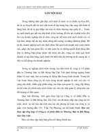 Đánh giá thực trạng hạch toán kế toán tại Công ty cổ phần Đầu tư Thương Mại và Bất Động Sản Tân Việt. 