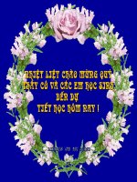 TLV: Người kể chuyện trong VB tự sự