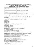 Đề TV Nguyễn Tri Phương 06-07