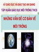 Những vấn đề cơ bản và hiện đại của luật môi trường