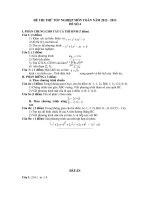 ĐỀ THI THỬ TỐT NGHIỆP TRUNG HỌC PHỔ THÔNG MÔN TOÁN NĂM 2012-2013