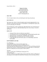 Resume kết hợp   mẫu 2 