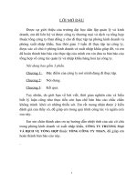 NGHIỆP VỤ NHẬP KHẨU ĐƯỢC THỰC HIỆN TẠI CÔNG TY THƯƠNG MẠI VÀ DỊCH VỤ TỔNG HỢP