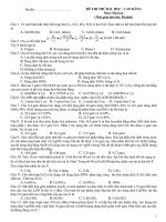 Đề OTDH cấp tốc 02