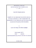 Luận văn nghiên cứu xác định một số chỉ tiêu sinh sản, bệnh ở cơ quan sinh dục và thử nghiệm điều trị bệnh viêm tử cung trên đàn lợ 