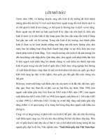 Xuất khẩu giầy dép Việt Nam-thực trạng và giải pháp