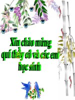 tiết 45: Thần kinh và giác quan