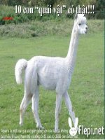 10 con quái vật có thật