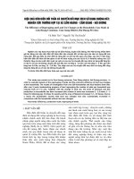 HIệU QUả DồN ĐIềN ĐổI THửA Và CHUYểN ĐổI MụC ĐíCH Sử DụNG RUộNG ĐấT: NGHIÊN CứU TRƯờNG HợP TạI Xã CẩM HOàNG - CẩM GIàNG - HảI DƯƠNG
