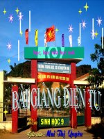 Đột biến số lượng NST (tiết 2)