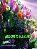 Unit 16- Language Focus