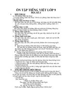 Ôn tập Tiếng Việt 9