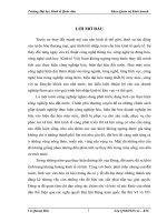 CÁC GIẢI PHÁP MỞ RỘNG THỊ TRƯỜNG TIÊU THỤ SẢN PHẨM CỦA CÔNG TY CÔNG NGHỆ CAO VÀ THƯƠNG MẠI QUỐC TẾ54